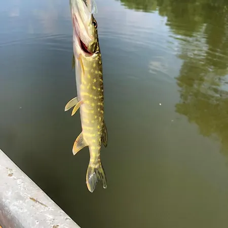Haus 'am Selliner See-wismar' Neukloster