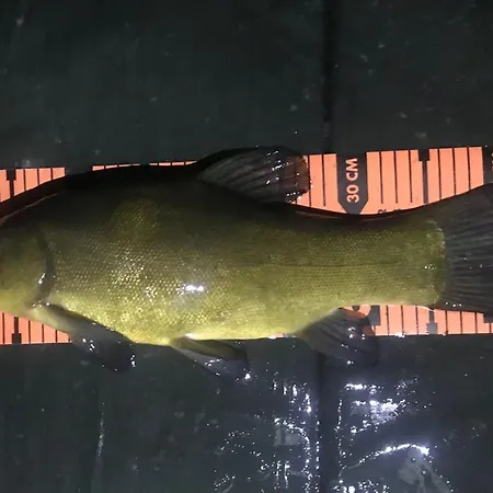 Casa vacanze Haus 'am Selliner See-wismar' Neukloster