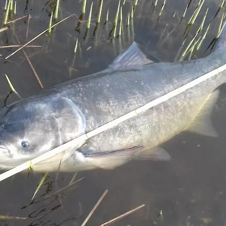 Casa vacanze Haus 'am Selliner See-wismar'