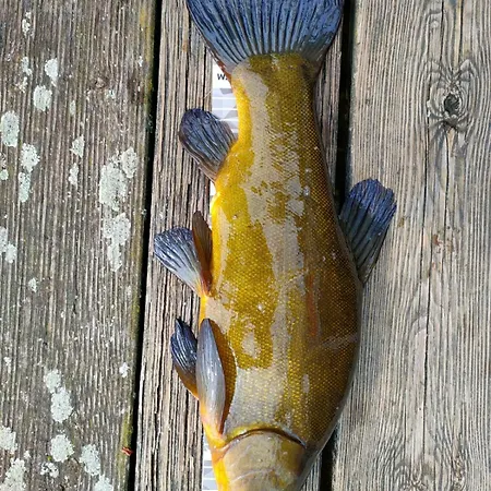 Casa vacanze Haus 'am Selliner See-wismar' Neukloster