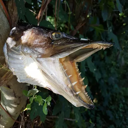 Haus 'am Selliner See-wismar' Casa vacanze Neukloster