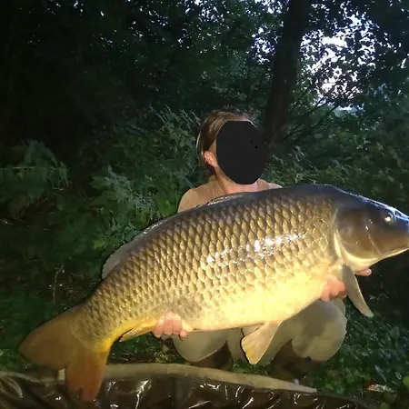 Casa vacanze Haus 'am Selliner See-wismar' *