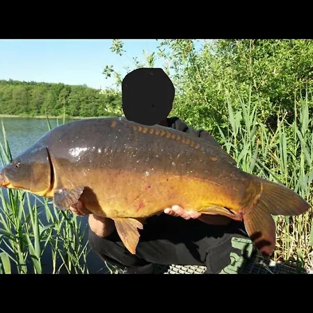 Haus 'am Selliner See-wismar' *