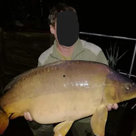 Haus 'am Selliner See-wismar' * Neukloster