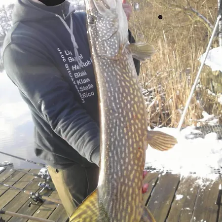 Prázdninový dům Haus 'am Selliner See-wismar' *